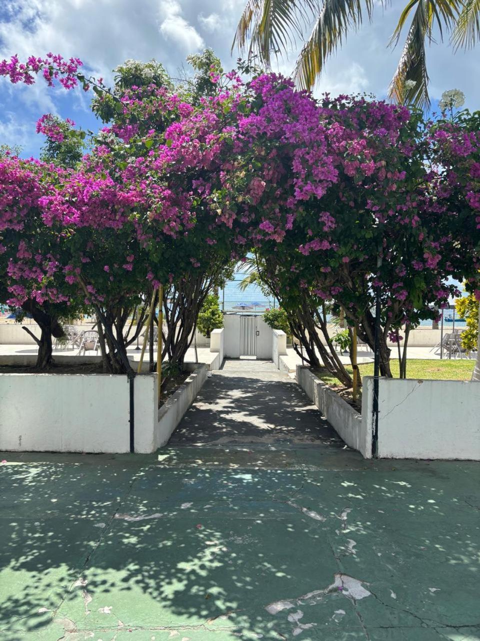 Apto 3 Quartos Pe Na Areia Prox De Recife Exterior photo